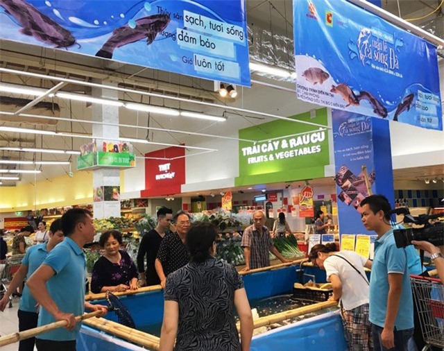 Sau Hà Nội, cá sông Đà được bán tại siêu thị Big C Hải Phòng