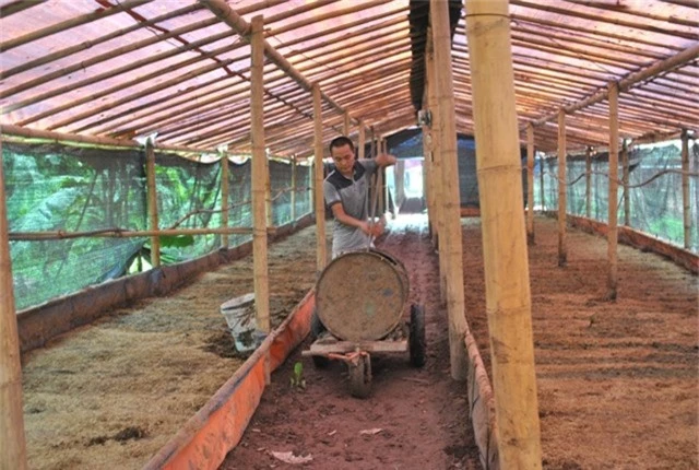 2 làn bo giảng duòng, 9x thành cong nho nuoi giun qué hinh anh 1