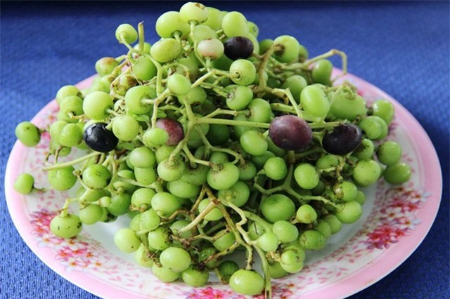 Khám phá thú vị về trái giác, "lộc trời cho" rừng U Minh Hạ