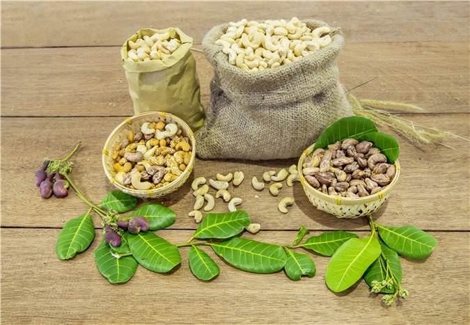 Nông nghiệp Việt vẫn hấp dẫn vốn ngoại