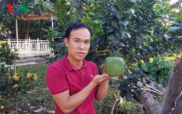 Đồng khởi khởi nghiệp: Cách làm mới ở xứ dừa Bến Tre