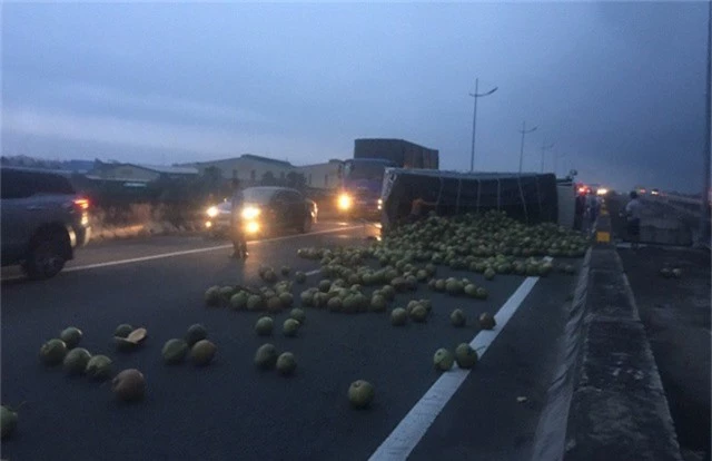 
Hàng trăm quả dừa lăn lóc đầy đường
