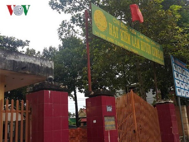 Mánh khóe tiếp tay cho trùm gỗ lậu Phượng “râu” của Hạt trưởng Hạt kiểm lâm