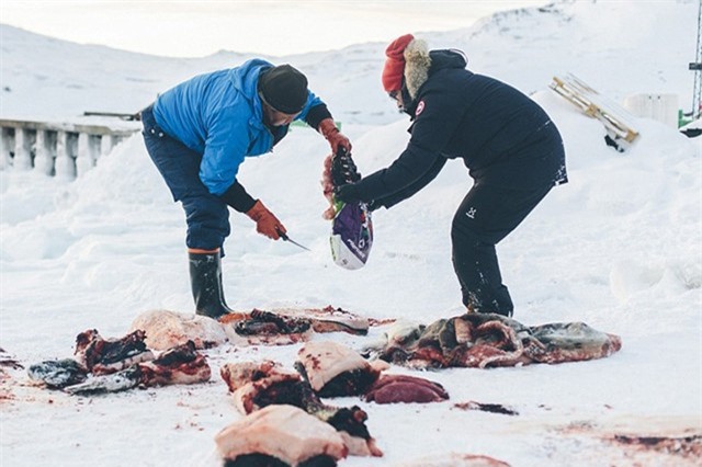 Rợn người cảnh xẻ da lóc thịt hải cẩu