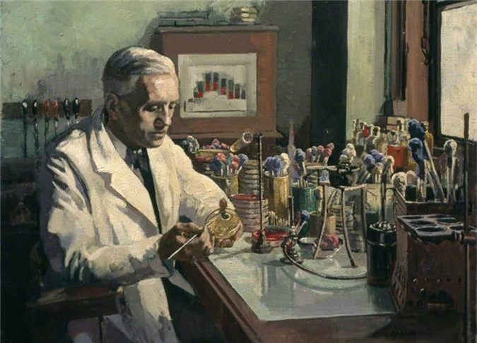 Khi Alexander Fleming công bố các phát minh của mình, không ai thực sự chú ý tới nó, bởi vì có quá ít giá trị về mặt y học. Ảnh: Artuk