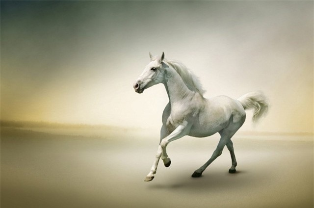 3 con giáp này tránh cho vay tiền, từ tháng 9 trở đi, tài vận ổn định bao nhiêu thì cuộc sống giàu sang gần kề bấy nhiêu