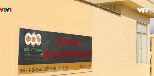 Lần đầu tiên Việt Nam xuất khẩu trứng ấp sang Myanmar