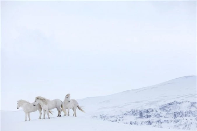 Chính điều này giúp Iceland trở thành một điểm đến lý tưởng với nhiều người.