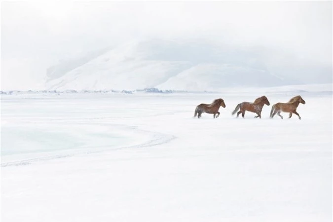 Những bức ảnh này được nhiếp ảnh gia Doggett chụp lại trong lần đầu tiên đến với đất nước băng đảo.