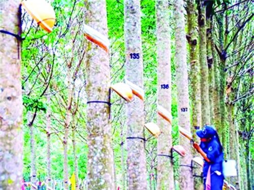 Nhiều tiềm năng đầu tư vào thị trường Lào