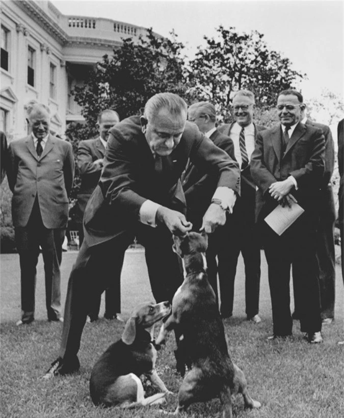 Tổng thống Lyndon B. Johnson cũng nuôi 2 chú chó săn thỏ có tên rất mỹ miều “Anh ấy - Him” và“Cô ấy - Her”.Cô con gái của Tổng thống Johnson, cô Luci, đã tìm thấy một chú chó khác tên Yuki tại một nhàga ở Texas.