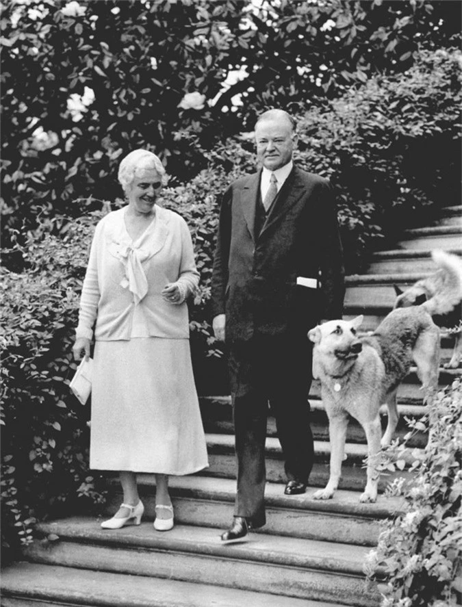 Tổng thống Herbert Hoover có nuôi một chú cún cưng tên “vua Tut”, thuộc giống chó chăn cừuBỉ. Điểm đặc biệt của “vua Tut” là không chỉ là thú cưng, nó còn giúp gác cổng, tham gia vàochiến dịch bầu cử của Tổng thống Hoover.