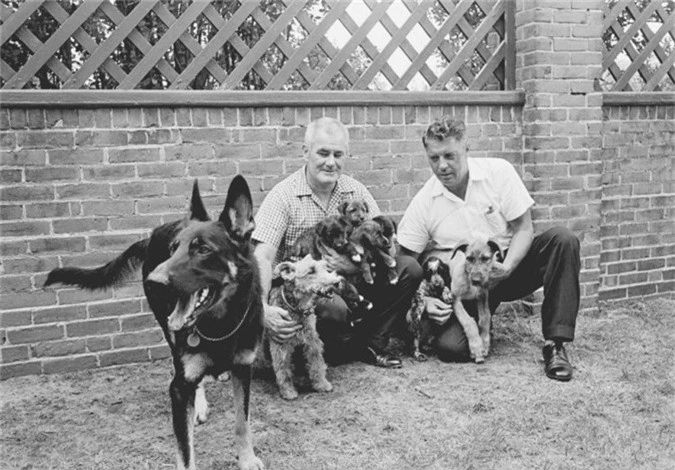 Bên cạnh Pushinka, JFK còn sở hữu 8 chú chó khác, trong đó có 1 chú chó chăn cừu tên Clipper,có nhiệm vụ giám sát cả bầy.