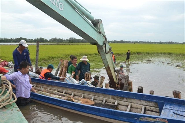 Trên cánh đồng nằm ngoài đê bao, người dân và chính quyền địa phương đang nổ lực gia cố đê bao, bảo vệ hơn 2.000 ha lúa còn lại