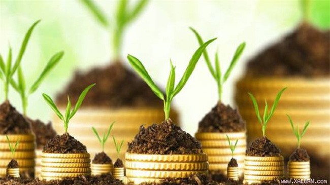 Đầu tư Hải Phát trả cổ tức 15% bằng cổ phiếu