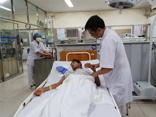 Cách sơ cứu giảm nguy cơ suy gan, suy thận khi bị ong đốt ai cũng cần biết