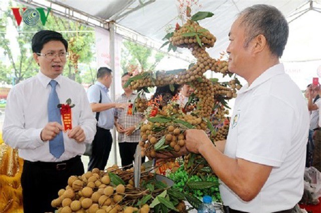 Nhãn lồng Hưng Yên tăng cường “nam tiến” và mở rộng xuất khẩu