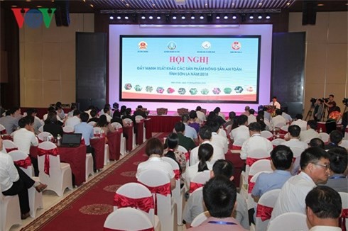 Nhiều nông sản Sơn La đã có “vé” xuất ngoại