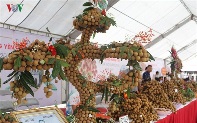 Bonsai nhãn lồng Hưng Yên hút khách