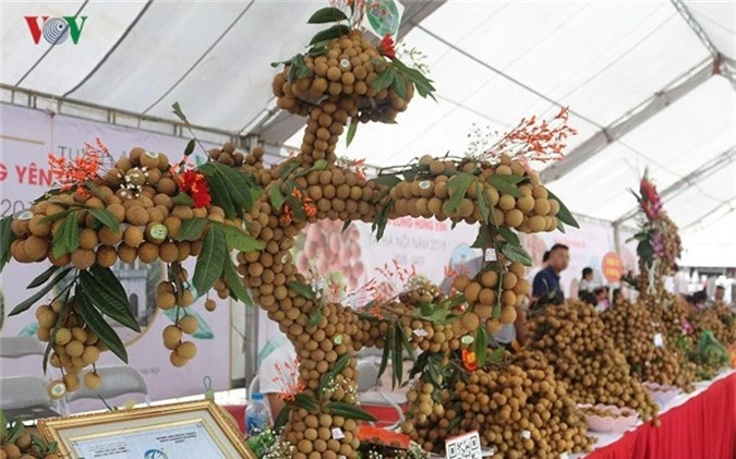 bonsai nhan long hung yen hut khach hinh 1