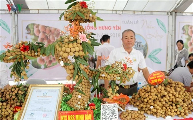 bonsai nhan long hung yen hut khach hinh 2