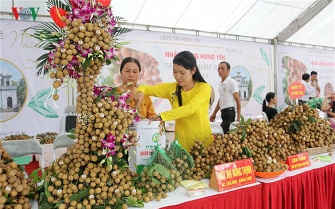 bonsai nhan long hung yen hut khach hinh 3