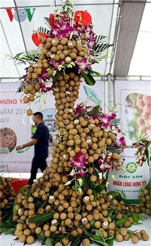 bonsai nhan long hung yen hut khach hinh 4