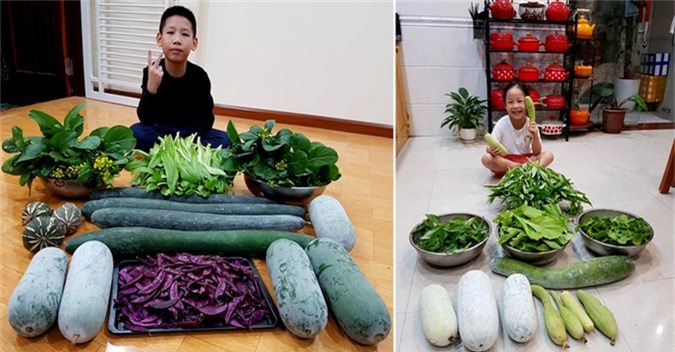 Vườn sân thượng như siêu thị mini của gia đình Hải Phòng