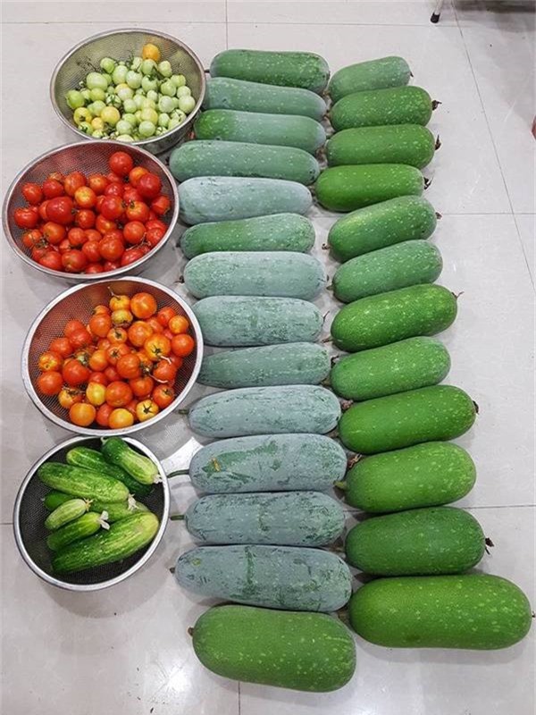 Vườn sân thượng như siêu thị mini của gia đình Hải Phòng