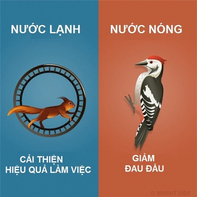 Su khac nhau giua tam nuoc lanh va nuoc nong hinh anh 6