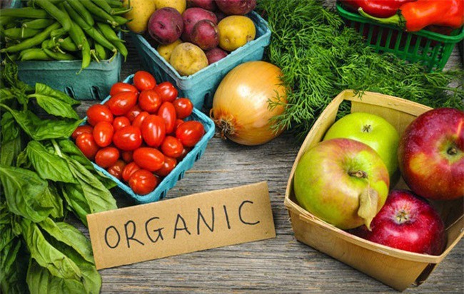 Tin vui cho doanh nghiệp làm nông nghiệp hữu cơ: Một loạt ưu đãi từ 15/10
