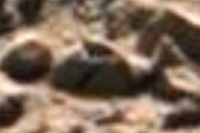 Phát hiện xác người ngoài hành tinh trên sao Hỏa?