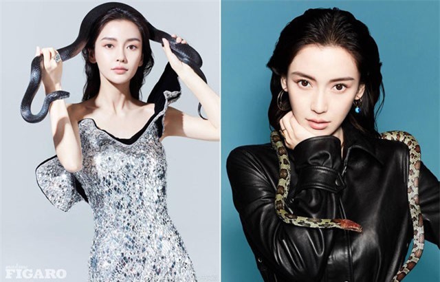 Ấn tượng với loạt hình Angelababy "chơi đùa" cùng rắn
