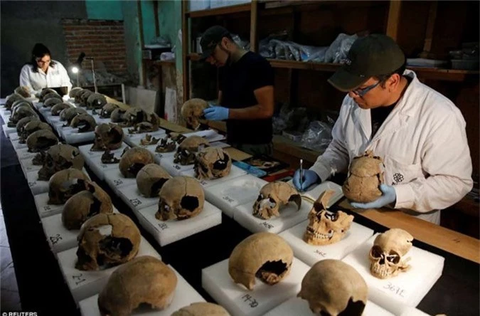 Hiện tại, các nhà khoa học đã khai quật được 676 hộp sọ và con số này chắc chắn sẽ còn tăng lên.Aztec là tên gọi một số dân tộc tại miền trung Mexico ngày nay. Họ thống trị phần lớn vùng Trung Mỹ từ thế kỷ 14 - 16 với văn hóa nhiều bản sắc và những nghi lễ hiến tế rùng rợn.