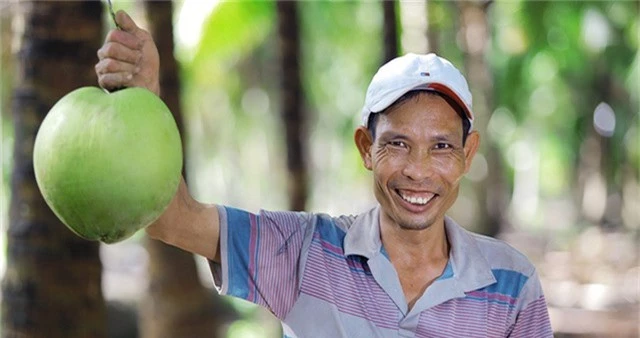 Betrimex triển khai dự án “10.000 ha vườn dừa organic cho nông dân” - Ảnh 1.