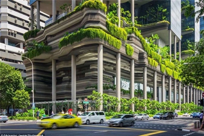 Khách sạn Park Royalnằm ở trung tâm Singapore, được xây dựng vào tháng 12/2009. Nơi đây có tổng diện tích 15.000 m2 chỉ dành riêng cho việc cấy trồng cây xanh. Ngoài ra, bên trong tòa nhà còn trang bị thêm hồ bơi, thác nước và ruộng bậc thang.Ảnh:Shutterstock