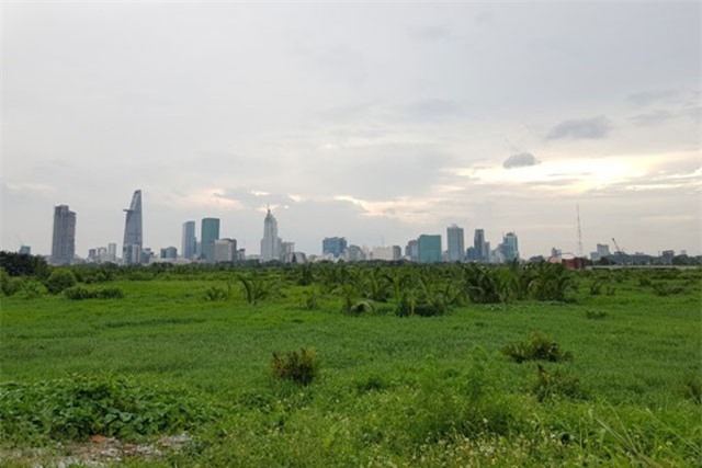 TP.HCM: Căn hộ giảm số lượng mở bán, thị trường BĐS gặp khó?