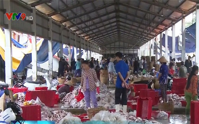 Kiên Giang truy xuất nguồn gốc thủy sản sau đánh bắt