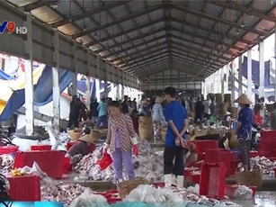 Kiên Giang truy xuất nguồn gốc thủy sản sau đánh bắt