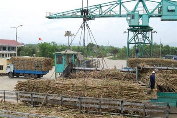 VSSA hiến kế các giải pháp cứu nguy cho các doanh nghiệp mía đường