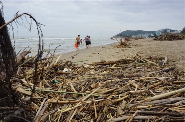 Bãi biển Sầm Sơn ngập trong rác sau lũ