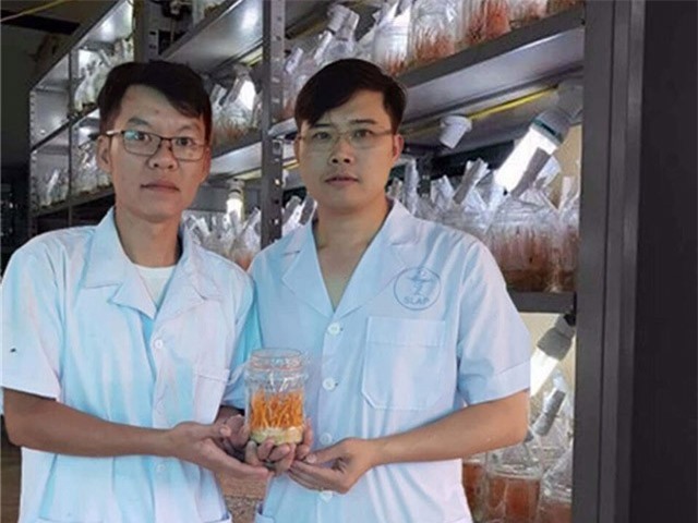 Tuyệt chiêu nuôi loài đông là con hạ là cây của thầy giáo mầm non