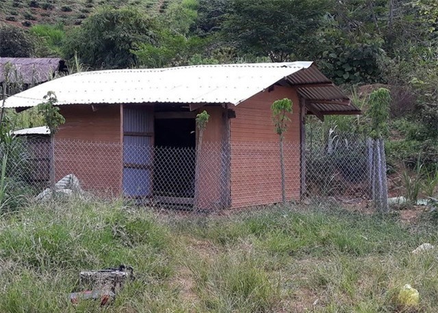 Nửa đêm đi bắt trộm gà, vướng bẫy điện bị giật tử vong