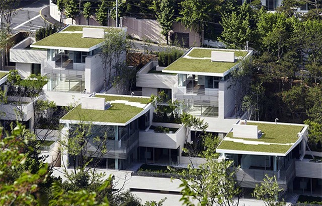 "Đột nhập" khu biệt thự dành cho đại gia ở Hàn Quốc