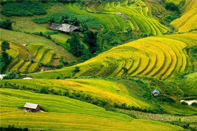 thang 9 len vung cao ngam mu cang chai mua vang dep hut hon hinh anh 1