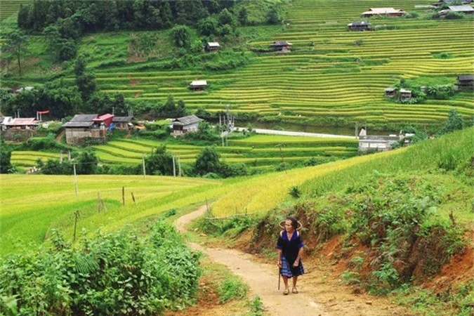 thang 9 len vung cao ngam mu cang chai mua vang dep hut hon hinh anh 6