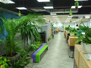 Trang trí phòng làm việc với bình hoa hợp phong thuỷ