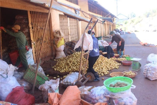 Khoai tây Trung Quốc được tập kết tại chợ nông sản Đà Lạt