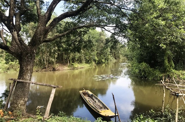 Đổi gió ở khu rừng tràm nguyên sinh cách Sài Gòn chỉ 2 giờ chạy xe