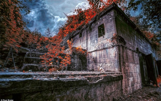 New York khác lạ, đầy ma mị dưới ống kính nhiếp ảnh gia